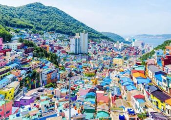 รวม ทัวร์ไฟไหม้ ประจำปี 2026 ราคาถูก จาก Travelzeed