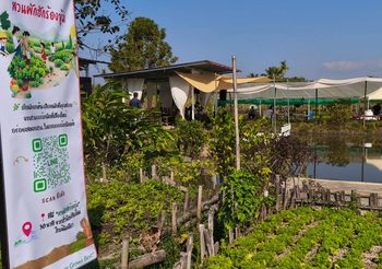 ถอดบทเรียน 4 ปี Chiang Mai Greentopia ต้นแบบเมืองอาหารปลอดภัย-สุขภาวะยั่งยืน