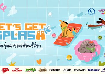 ททท. เปิดตัวโครงการ “Let’s Get SPLASH – วันชุ่มฉ่ำของเพื่อนซี้สี่ขา” ชวนเหล่าพ่อ แม่ และต้าวขนฟูแพ็กกระเป๋าออกเดินทางไปสาดความสุข รับความสนุกชุ่มฉ่ำทั่วไทย