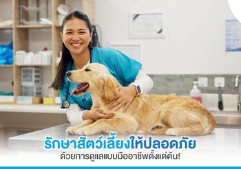 รักษาสัตว์แบบมืออาชีพ เพื่อป้องกันอันตรายก่อนจะสายเกินแก้!