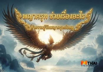 พญาครุฑ ช่วยเรื่องอะไร ทำความรู้จักพญาครุฑก่อนมู
