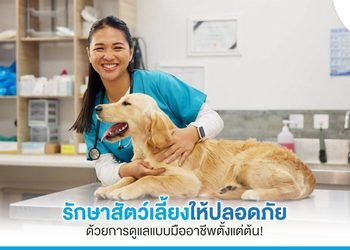 รักษาสัตว์แบบมืออาชีพ เพื่อป้องกันอันตรายก่อนจะสายเกินแก้!