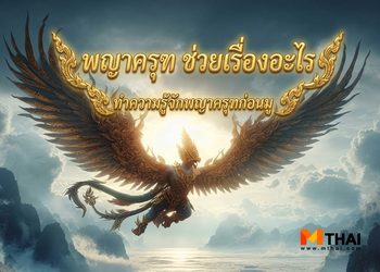 พญาครุฑ ช่วยเรื่องอะไร ทำความรู้จักพญาครุฑก่อนมู