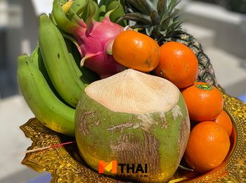 4 เคล็ด ของไหว้พระพิฆเนศ ขอพรสำเร็จดั่งตั้งใจ