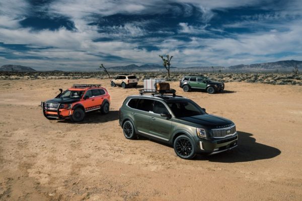 2020 Telluride