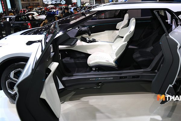 e-Evolution Concept 