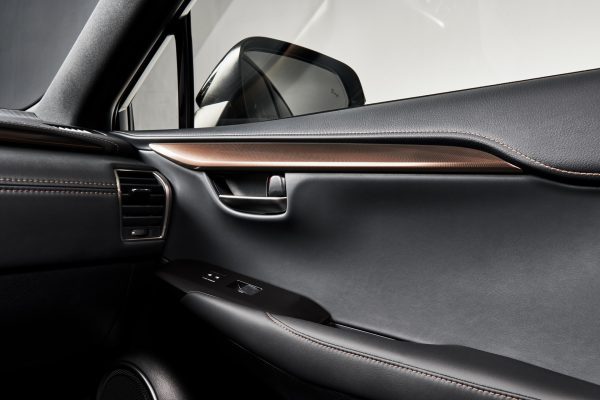 Lexus NX 300 Black Line