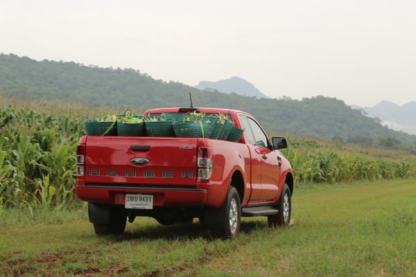 Ranger