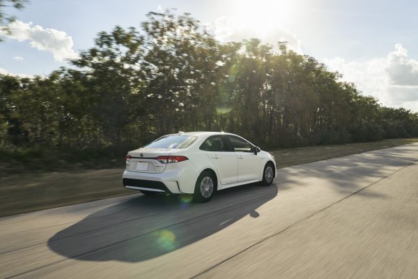 News Toyota Corolla 