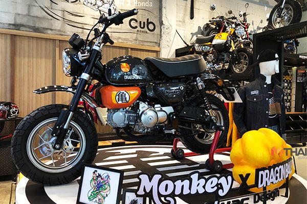 Monkey Dragon Ball 