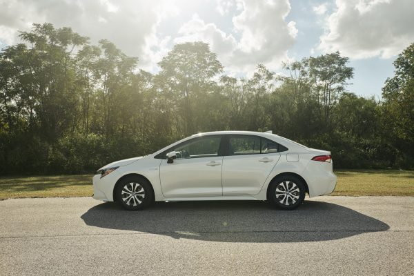 News Toyota Corolla 