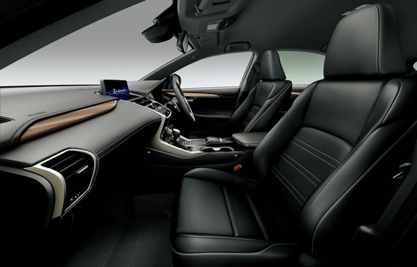 Lexus NX Bronze