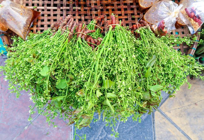 ผักพื้นบ้านต้านโรคมะเร็ง