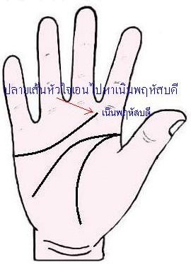 เส้นหัวใจ เส้นหัวใจ