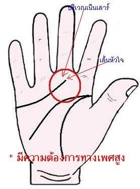 เส้นหัวใจ เส้นหัวใจ
