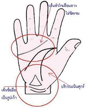 เส้นหัวใจ เส้นหัวใจ