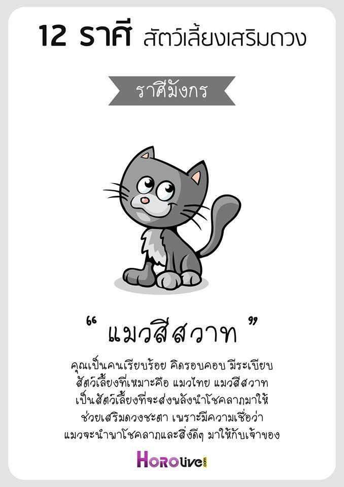 สัตว์เลี้ยงเสริมดวง