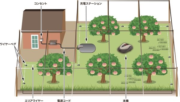 Honda Grass Miimo