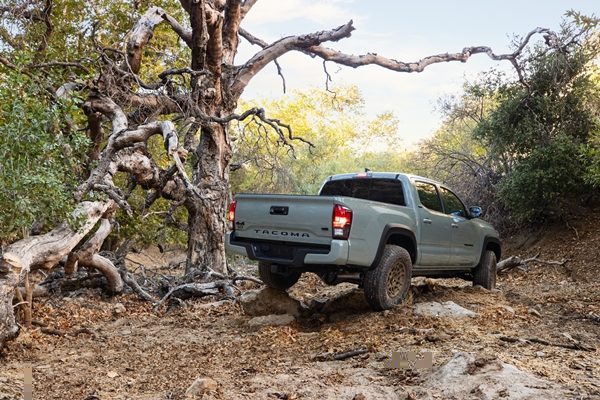 Toyota Tacoma
