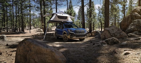Subaru Forester Wilderness Edition