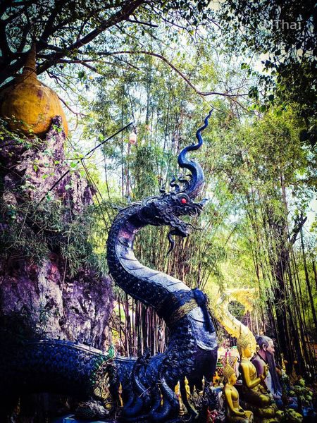 วิธีบูชาพญานาค