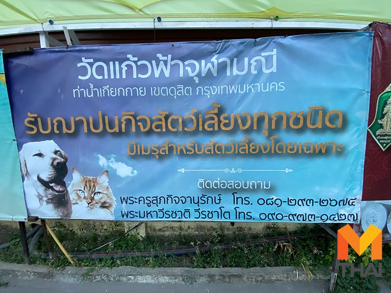 ฌาปนกิจสัตว์เลี้ยง