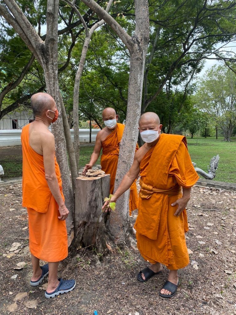 ลานต้นศรีมหาโพธิ์ วัดต้นโพธิ์ศรีมหาโพธิ