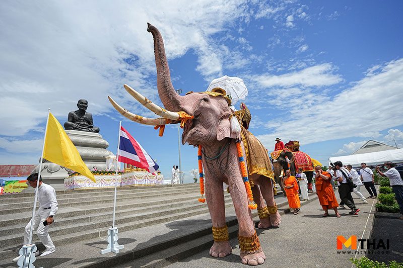 ต้นโพธิ์