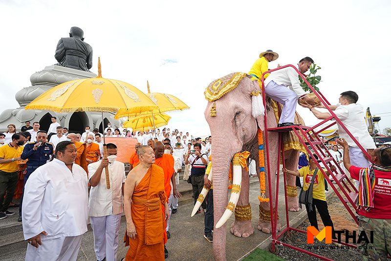 ขบวนแห่