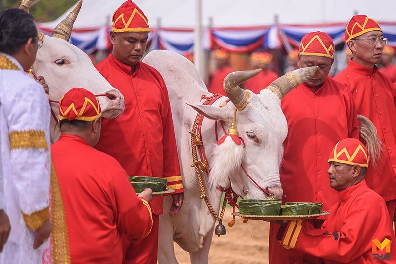 พระโค