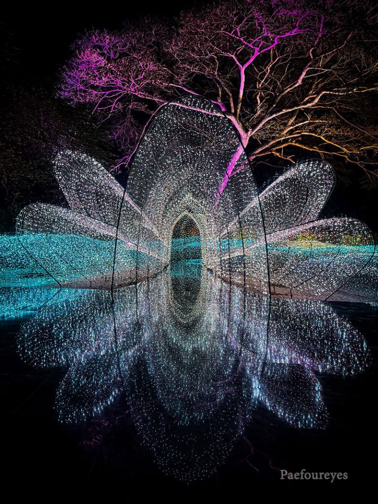 NaSatta Light Festival