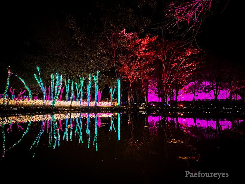 NaSatta Light Festival