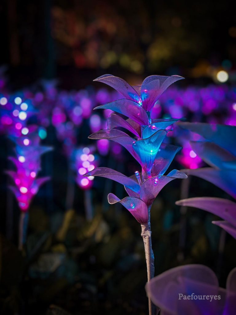 NaSatta Light Festival