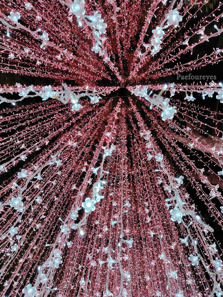 NaSatta Light Festival