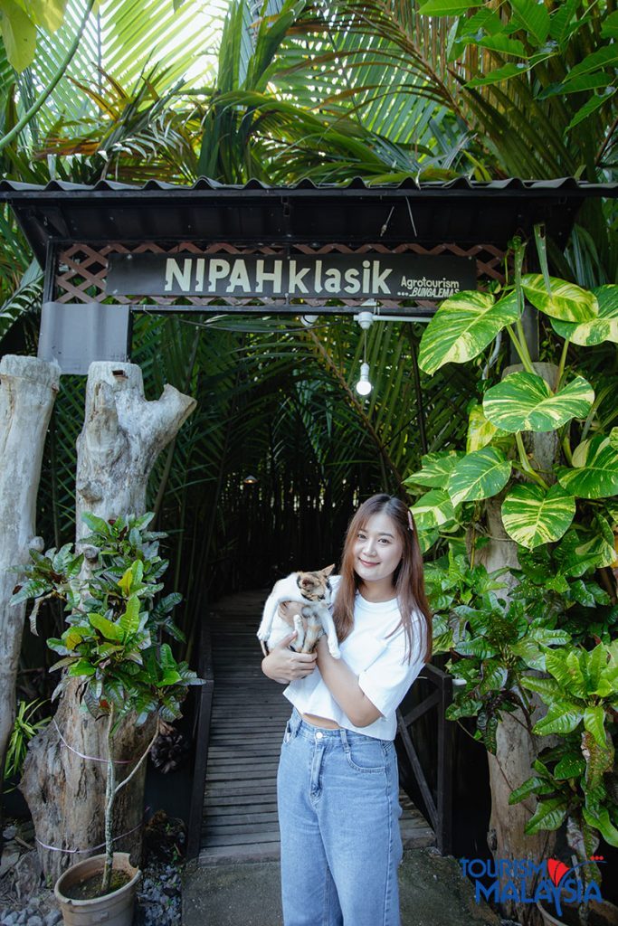 คาเฟ่ ปะลิส