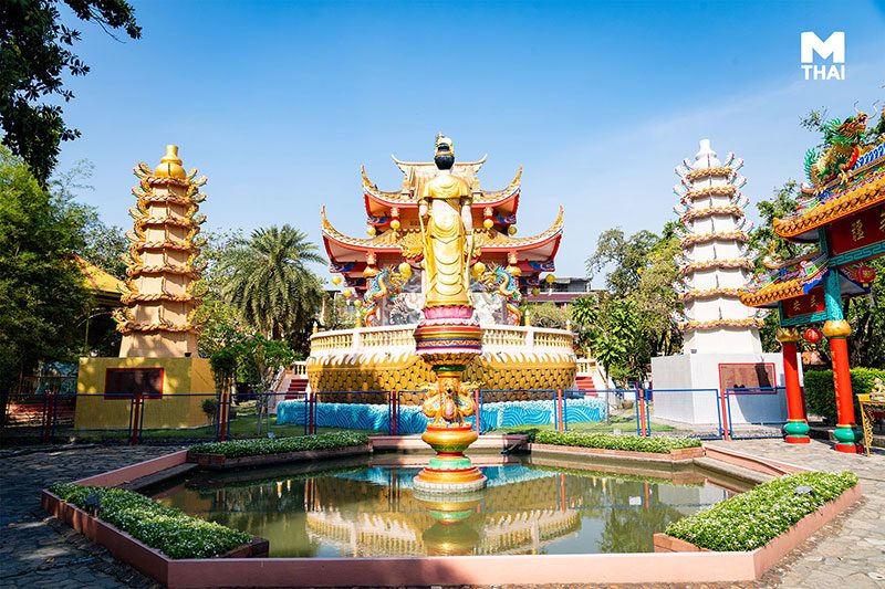 MTHAI  พามู