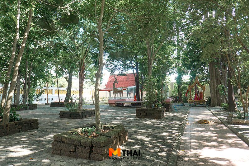 บรรยากาศโดยรอบ