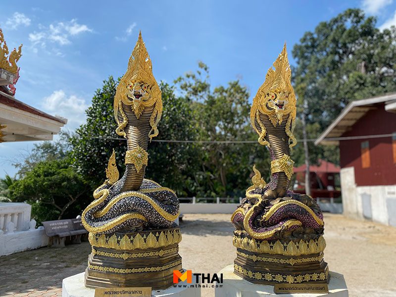 พญานาค