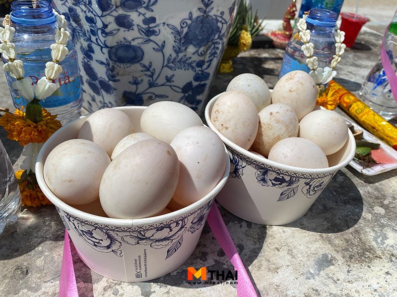ไข่ดิบ
