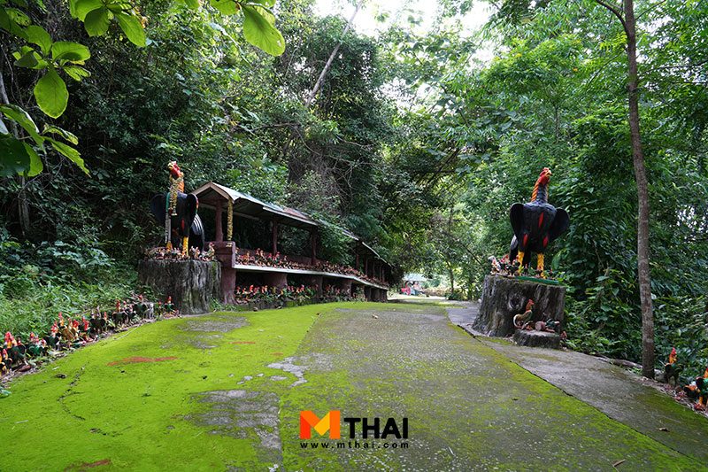 ทางไปวัดเขาทุเรียน