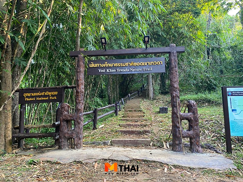 เส้นทางศึกษาธรรมชาติ