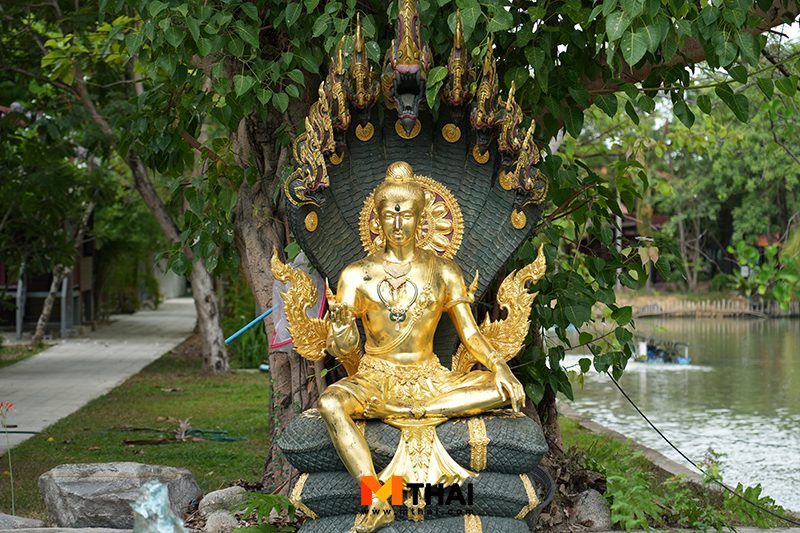 พญานาค