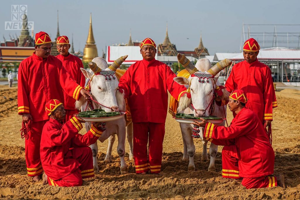 ผลพระโคเสี่ยงทาย