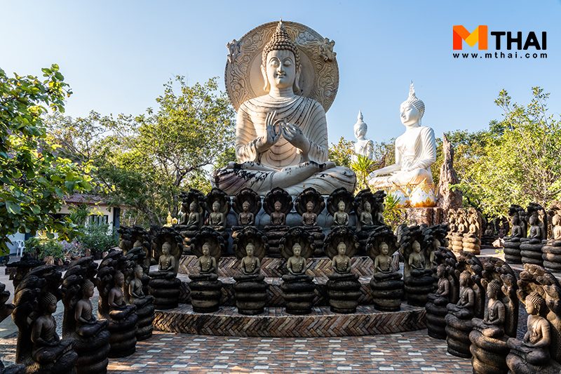 วัดป่า