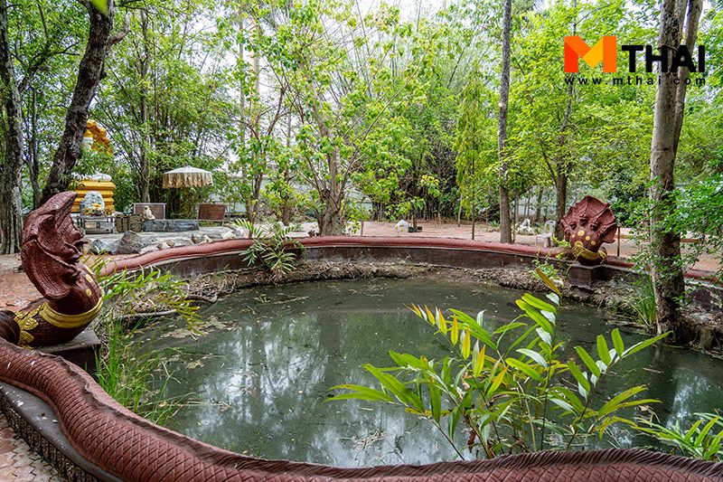 พญานาค