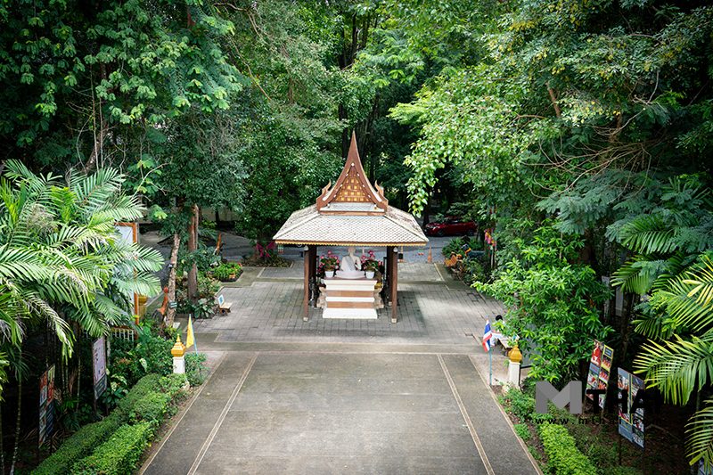 วัดป่า