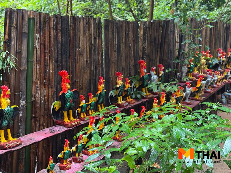 ไก่