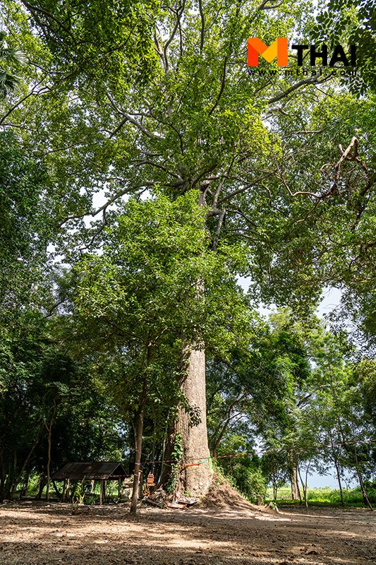 โบสถ์