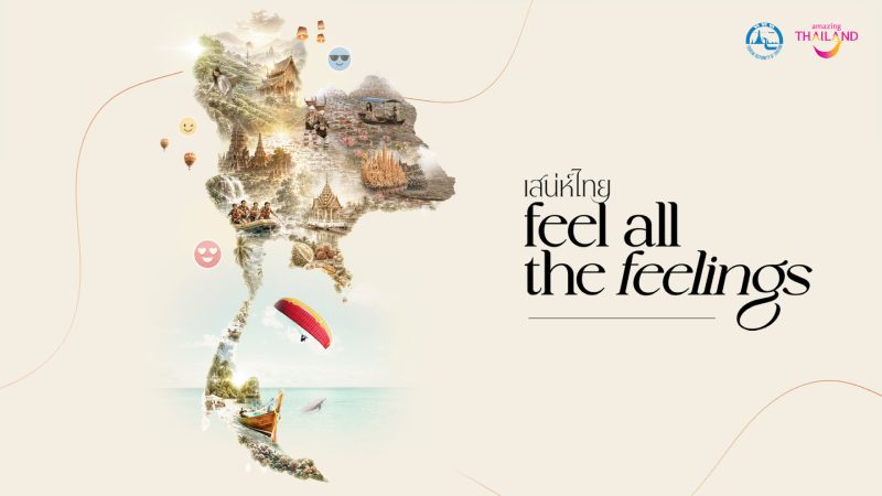 Feel All The Feelings