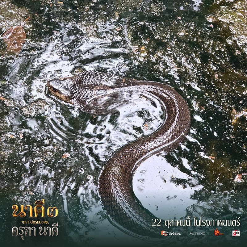 งู คำชะโนด
